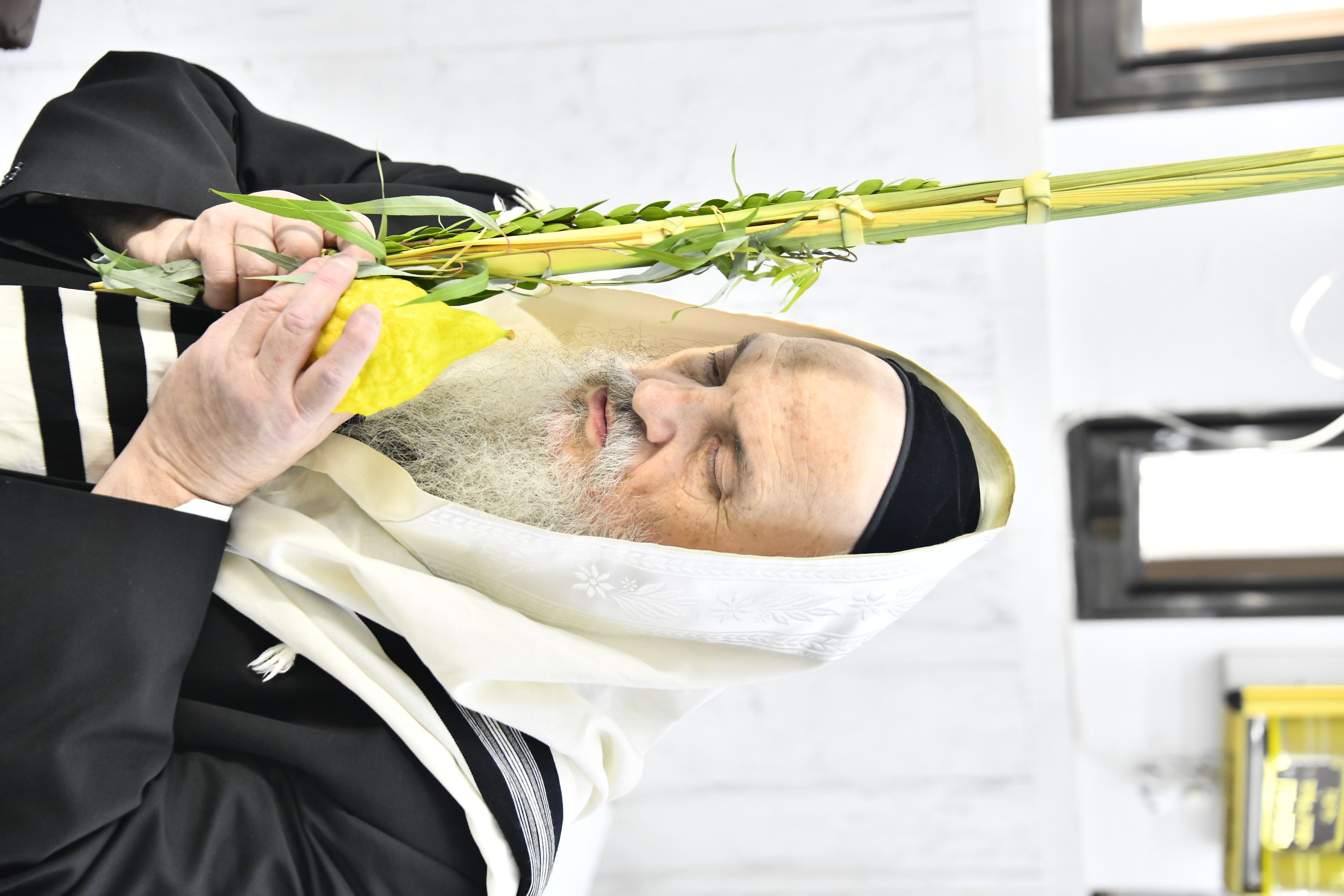 בהיכל הכולל: ראש הישיבה בנטילת לולב | כיכר השבת