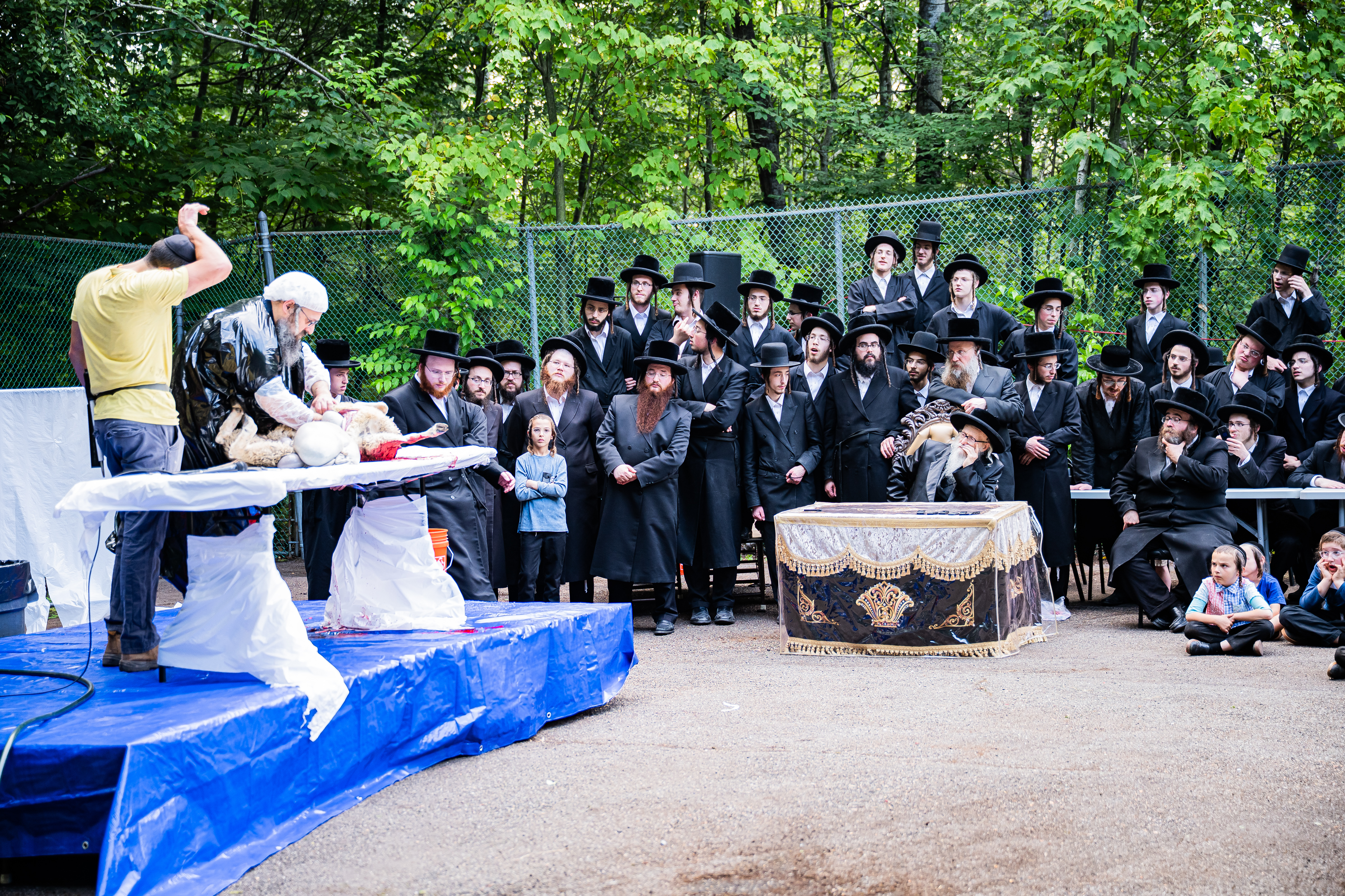  מעמד שחיטת כבש הפדיון במחנה ישיבת סערדאהעלי