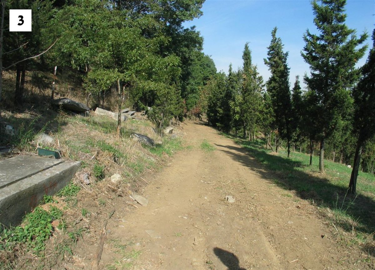 תביעה נגד הרב חליבה: אחראי להרס קברי צדיקים