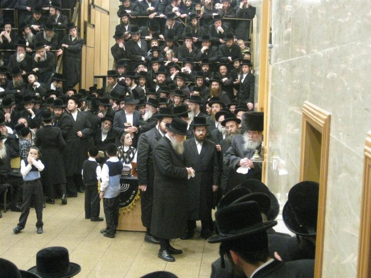 נר חמישי: הדלקת נר חנוכה בחצר בעלזא ●  וידאו מיוחד