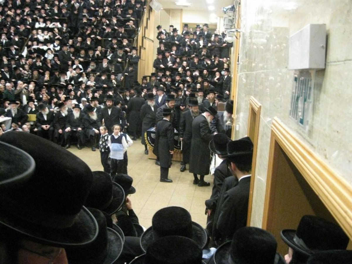נר חמישי: הדלקת נר חנוכה בחצר בעלזא ●  וידאו מיוחד