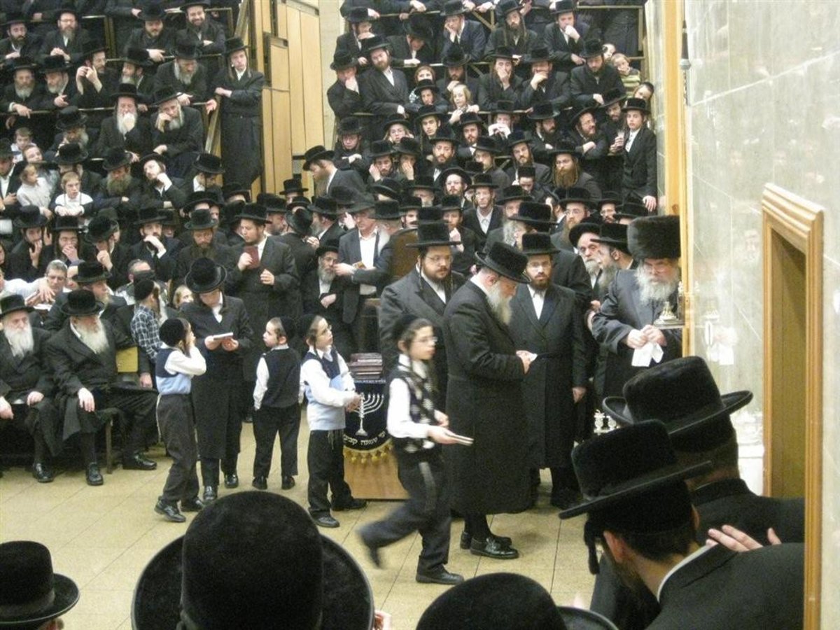 נר חמישי: הדלקת נר חנוכה בחצר בעלזא ●  וידאו מיוחד