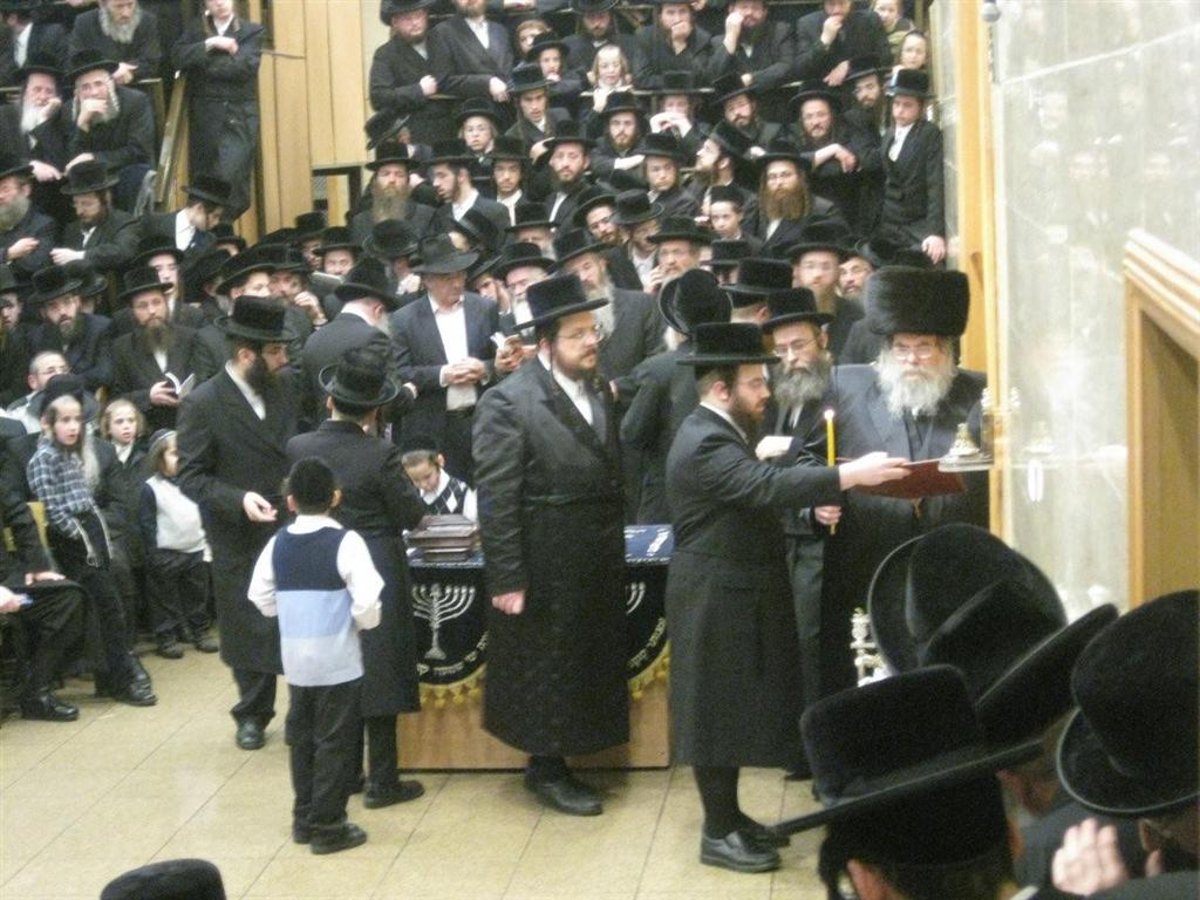 נר חמישי: הדלקת נר חנוכה בחצר בעלזא ●  וידאו מיוחד