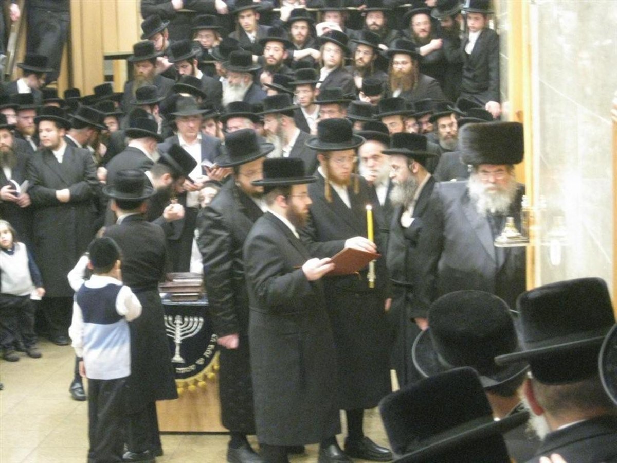 נר חמישי: הדלקת נר חנוכה בחצר בעלזא ●  וידאו מיוחד
