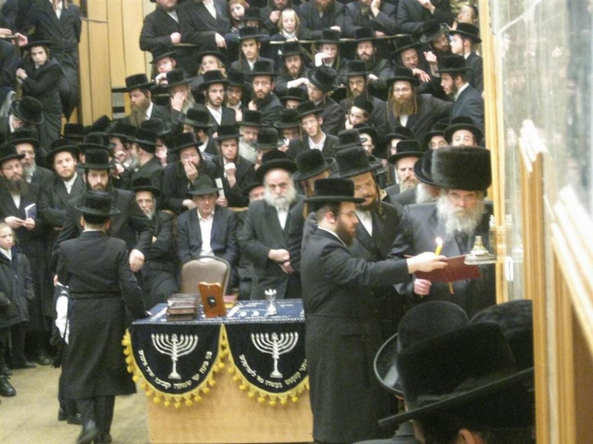 נר חמישי: הדלקת נר חנוכה בחצר בעלזא ●  וידאו מיוחד