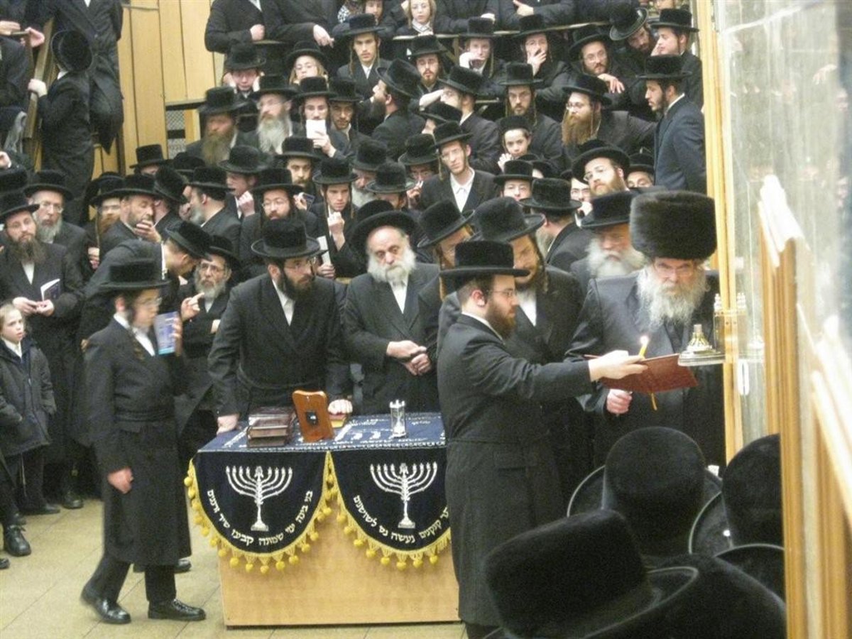 נר חמישי: הדלקת נר חנוכה בחצר בעלזא ●  וידאו מיוחד