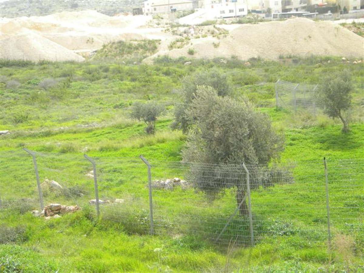 החלום נגנז: החלו העבודות למיקום הגדר מול מודיעין ע´