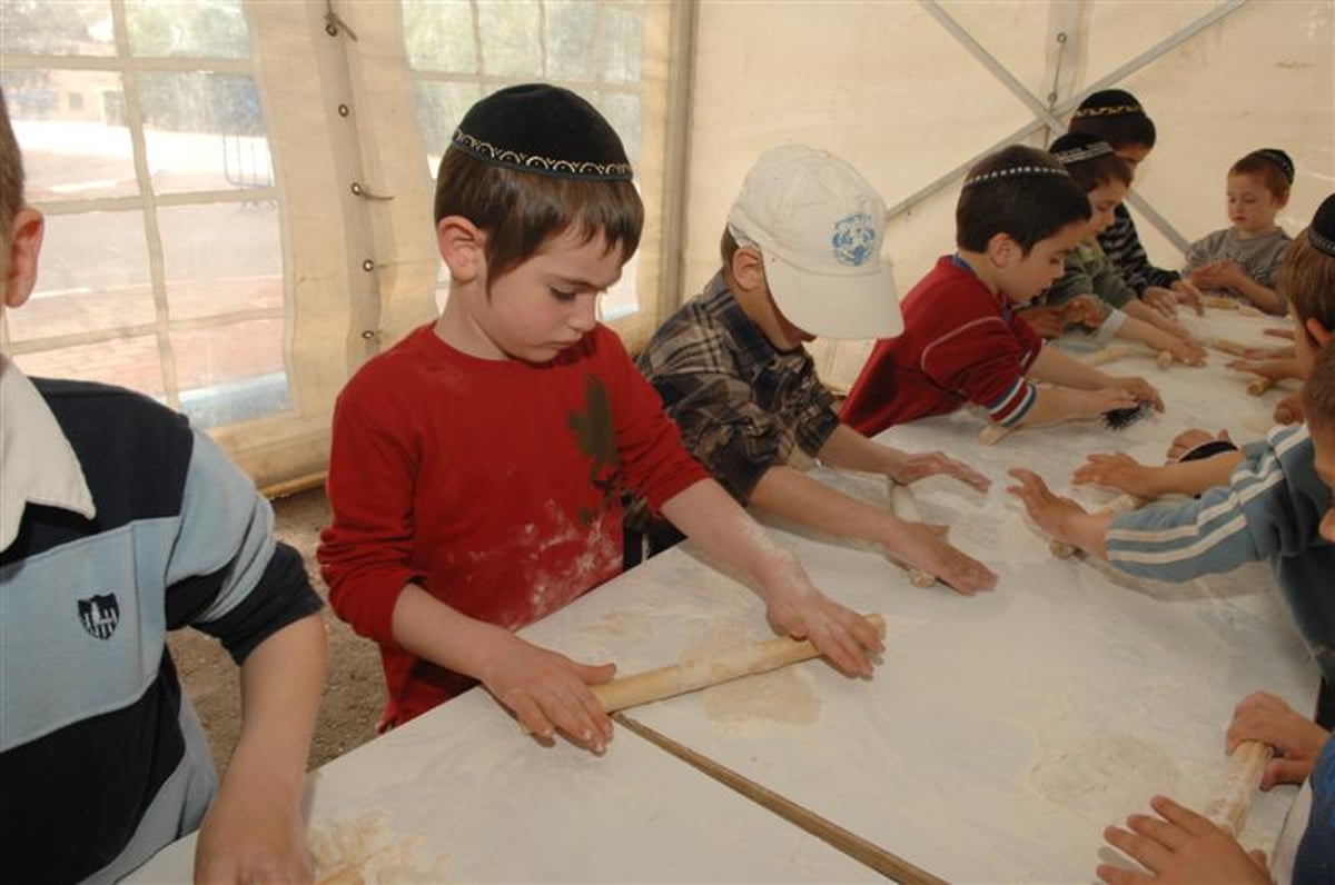 גם ה"שאינו יודע לשאול" באים ללמוד על הפסח בכפר-חב"ד