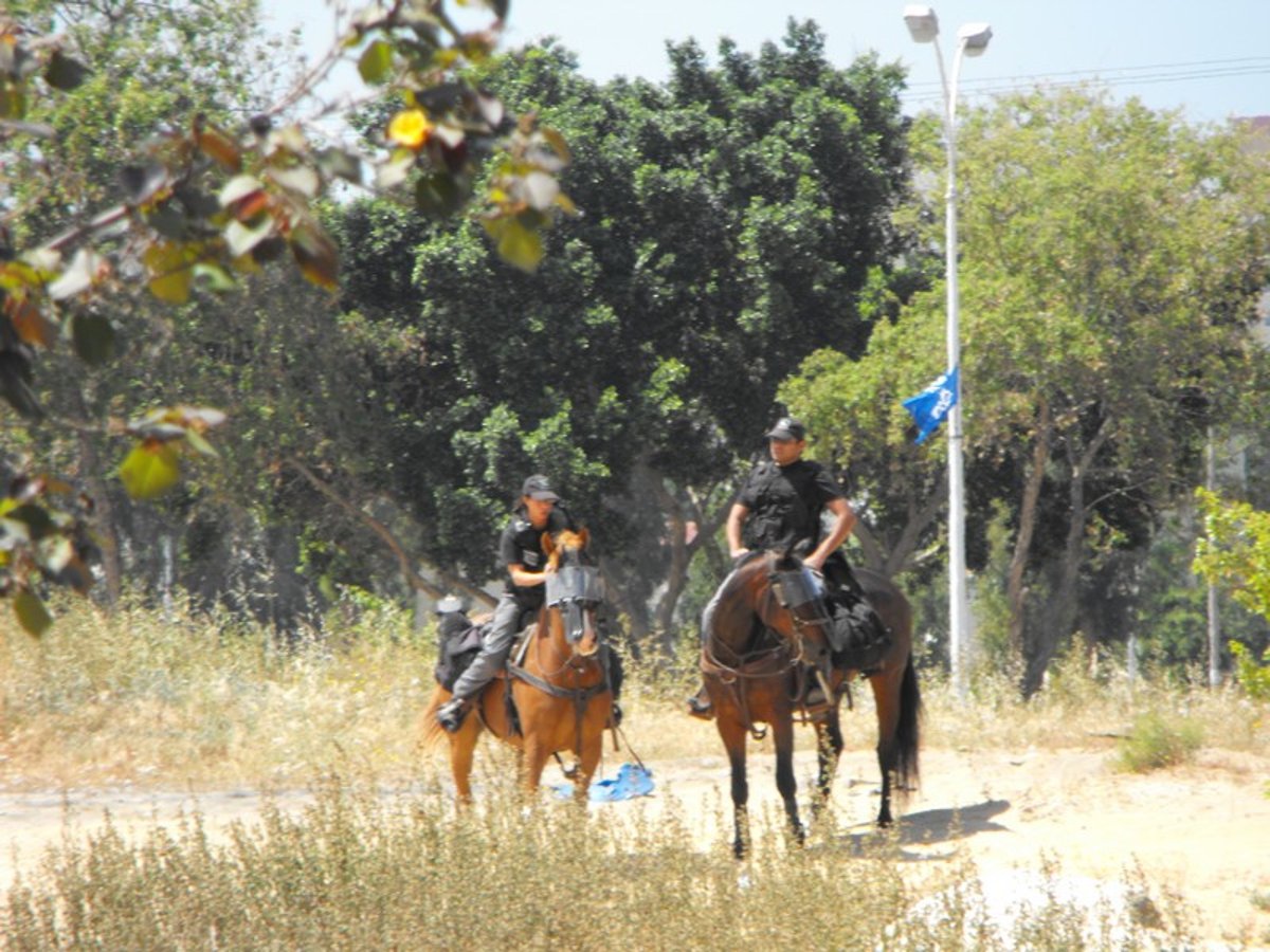 עימותים קשים בין אברכים לפקחים של ההוצאה לפועל