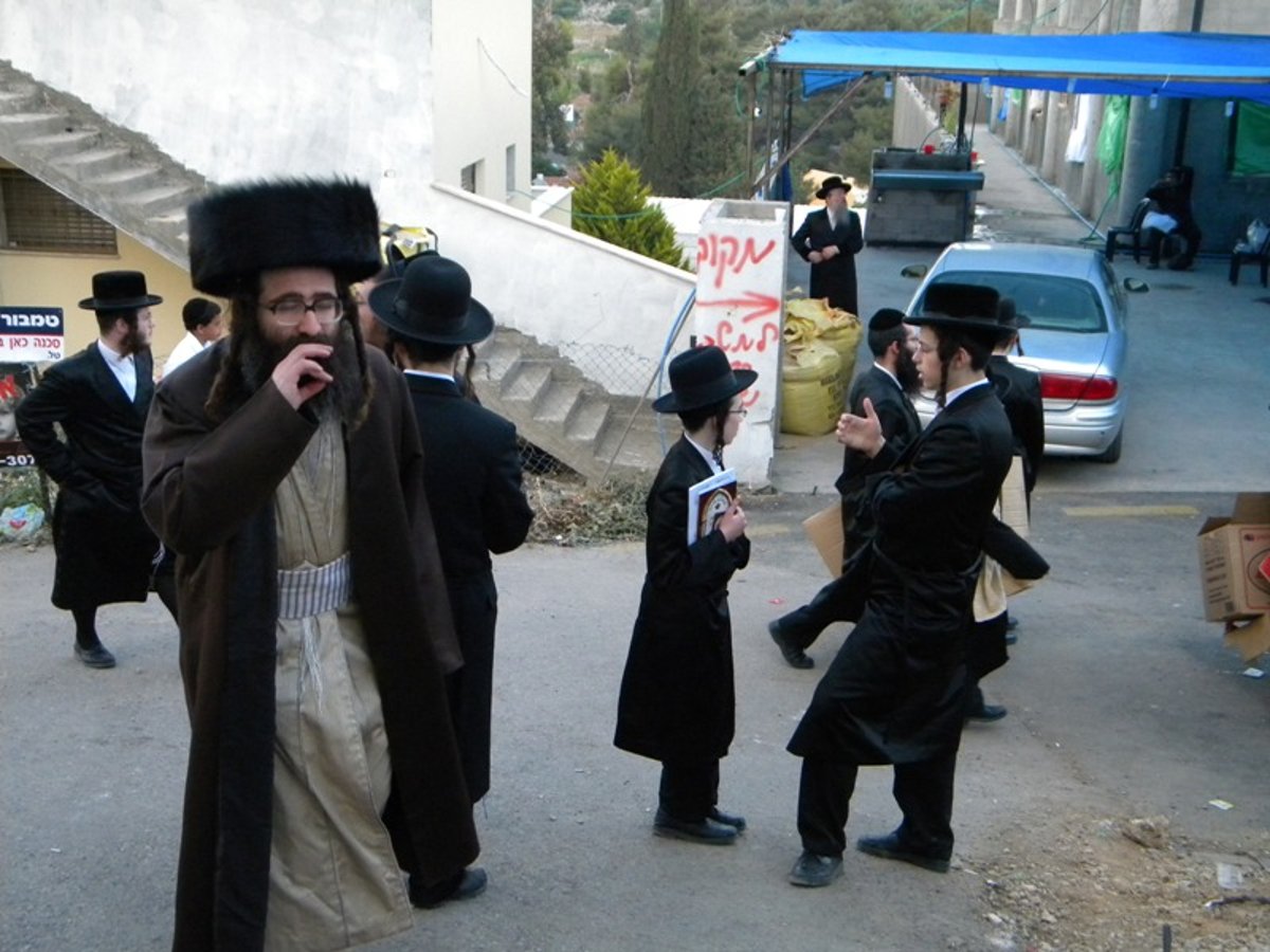 שבת אצל רשב"י: גלריית תמונות