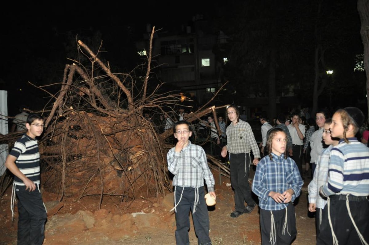 בני-ברק: עץ ענק ממדים קרס בתוך הגן; בנס לא היו נפגעים