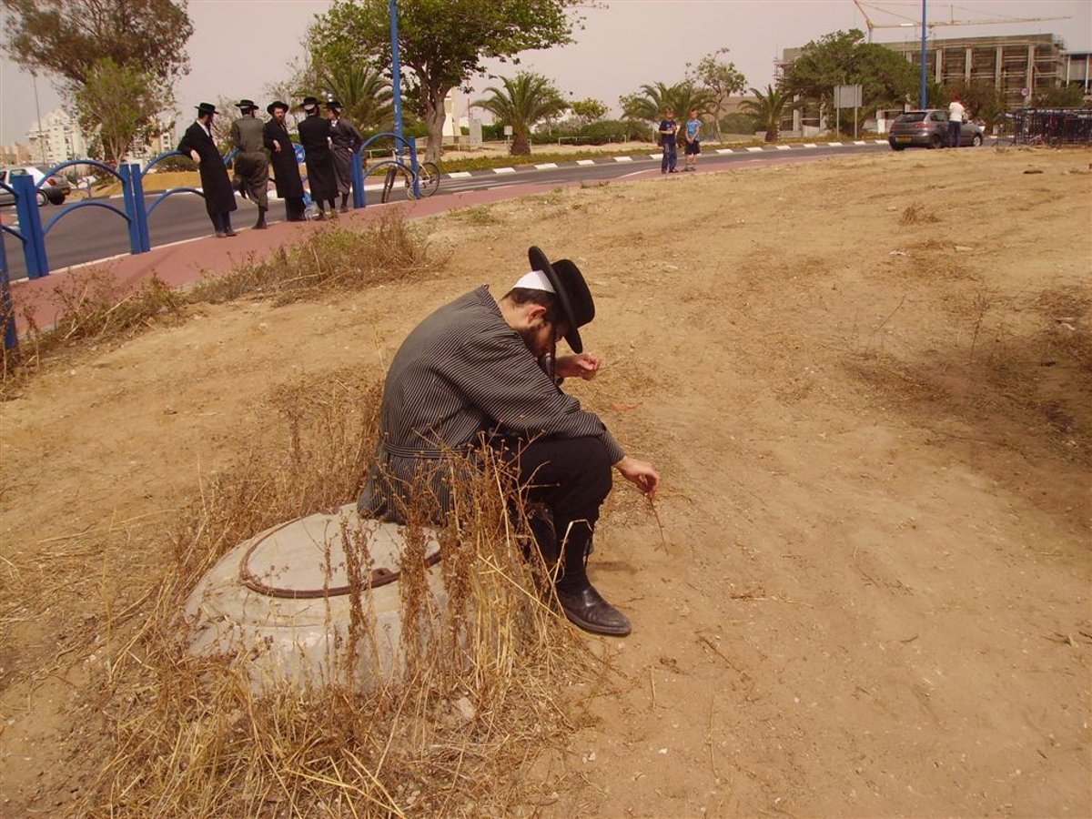 קביעה נחרצת: "העצמות שהתגלו - כולן של גויים"