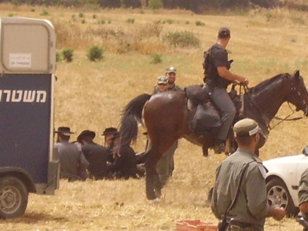 קביעה נחרצת: "העצמות שהתגלו - כולן של גויים"