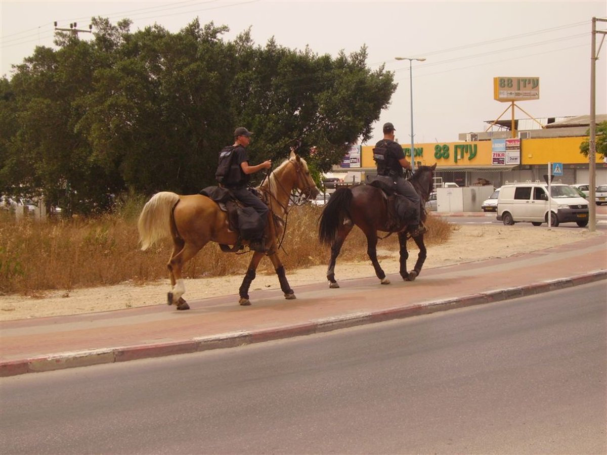 קביעה נחרצת: "העצמות שהתגלו - כולן של גויים"