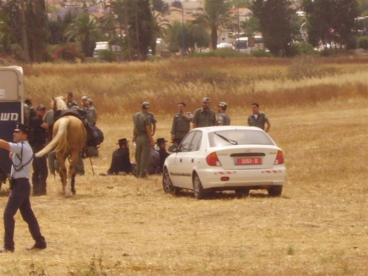 קביעה נחרצת: "העצמות שהתגלו - כולן של גויים"