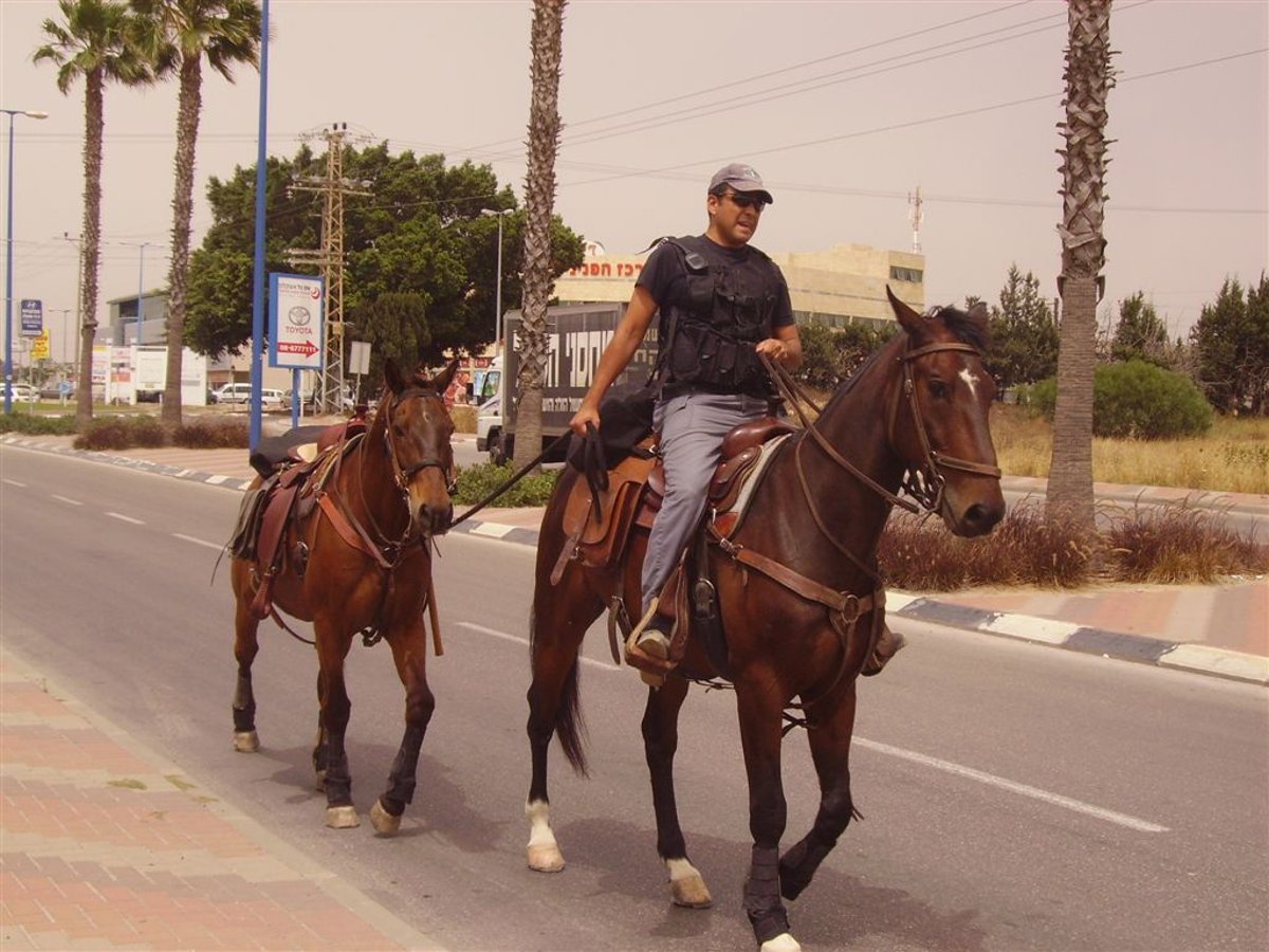 קביעה נחרצת: "העצמות שהתגלו - כולן של גויים"