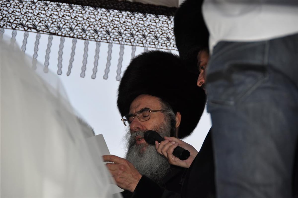 חתונת "בית אלכסנדר": וידאו, תמונות