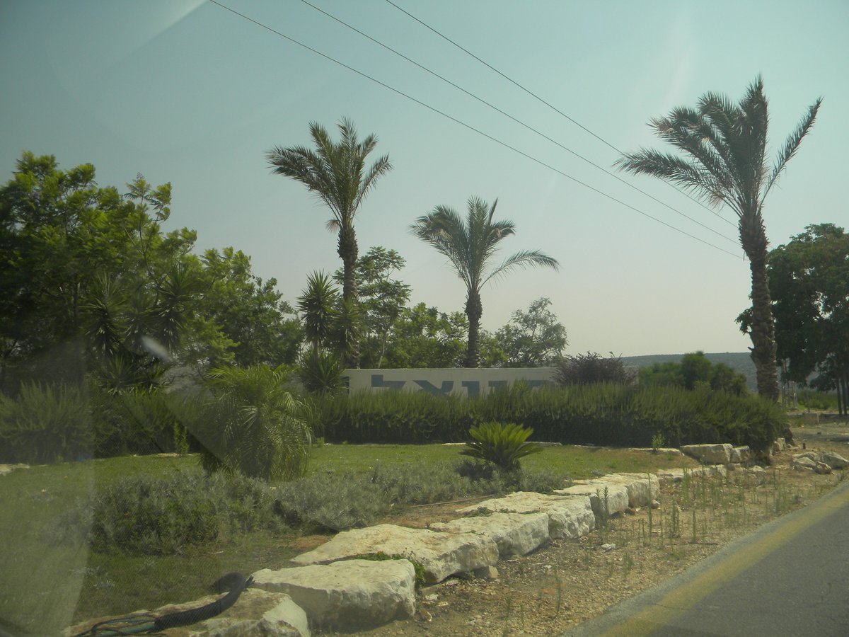 ויינברג פותח פה על ללום: מוסר, חצוף, נלחם בגדולים