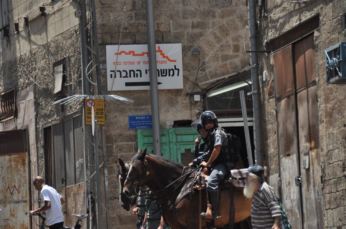 הצצה ראשונה: החפירות ביפו ● בלעדי