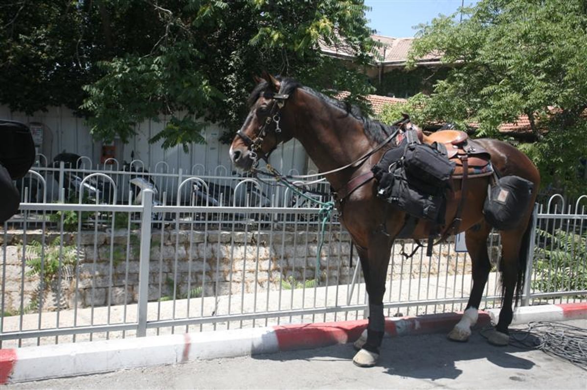 צפו בתיעוד ראשון: רבבות הפגינו בירושלים ובני-ברק