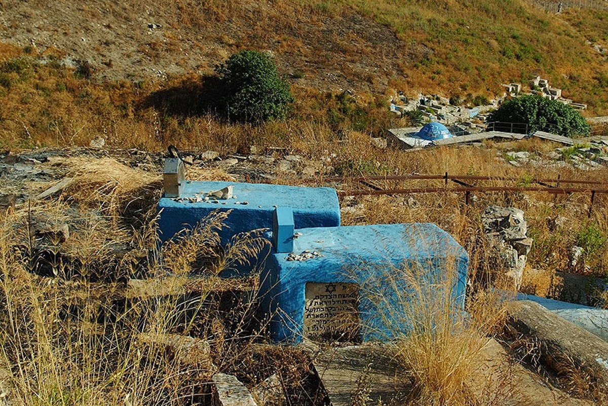 תיעוד מרהיב: מסע הגבירים לישראל