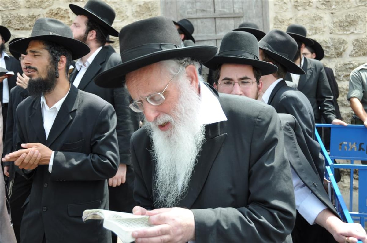 חיזוק מפתיע: הגר"ח הגיע למחות נגד החפירות ביפו