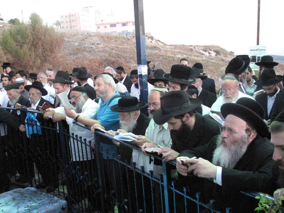 צפת, הלילה: המונים על ציונו של האר"י