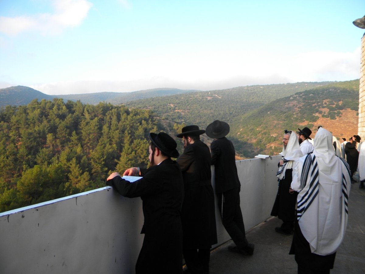 אלפים באו אמש לצפת  לרגל הילולת האר"י הקדוש  כתב "כיכר השבת" סובב בין צפת למירון  ומביא תיעוד   בלעדי