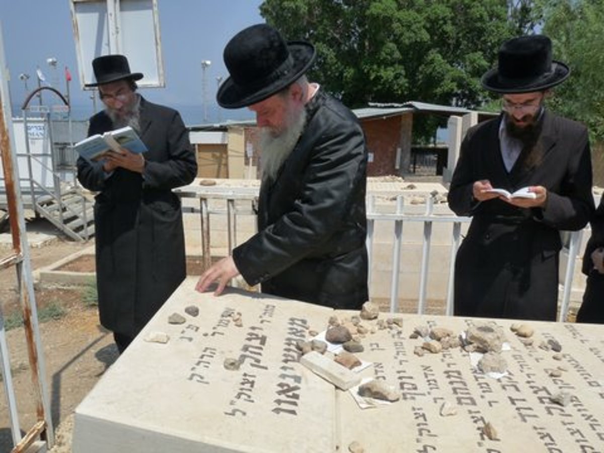 תמונות: מסע האדמו"ר מבאסטאן בישראל