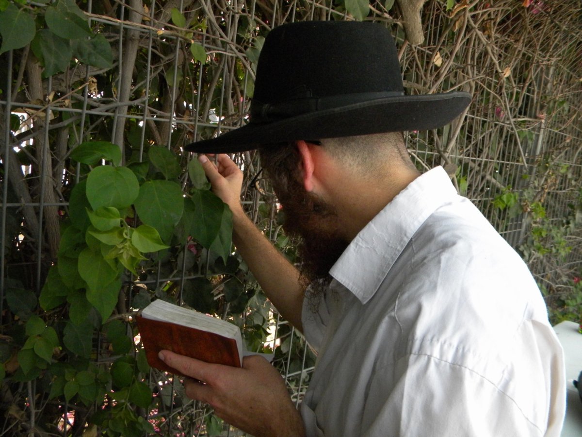 הרב יצחק גינזבורג נכנס לחקירה בשירה ובריקודים