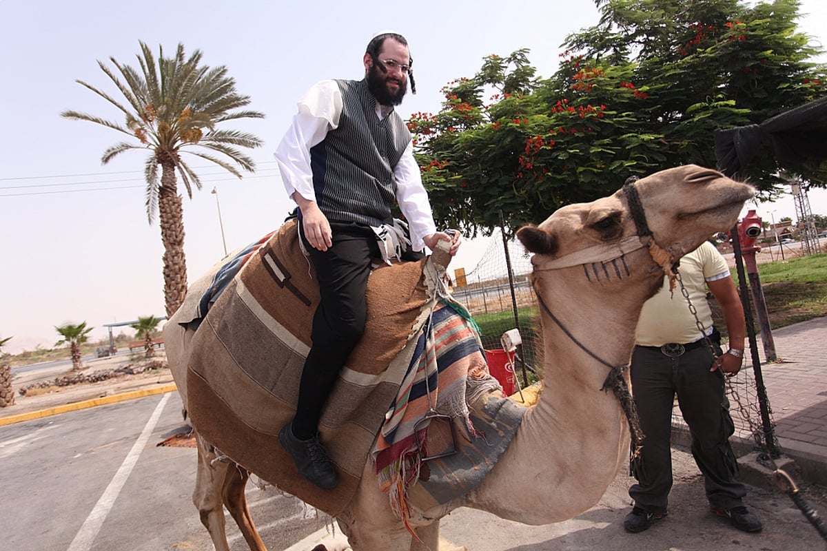 כיכר היום: בין הזמנים במצדה