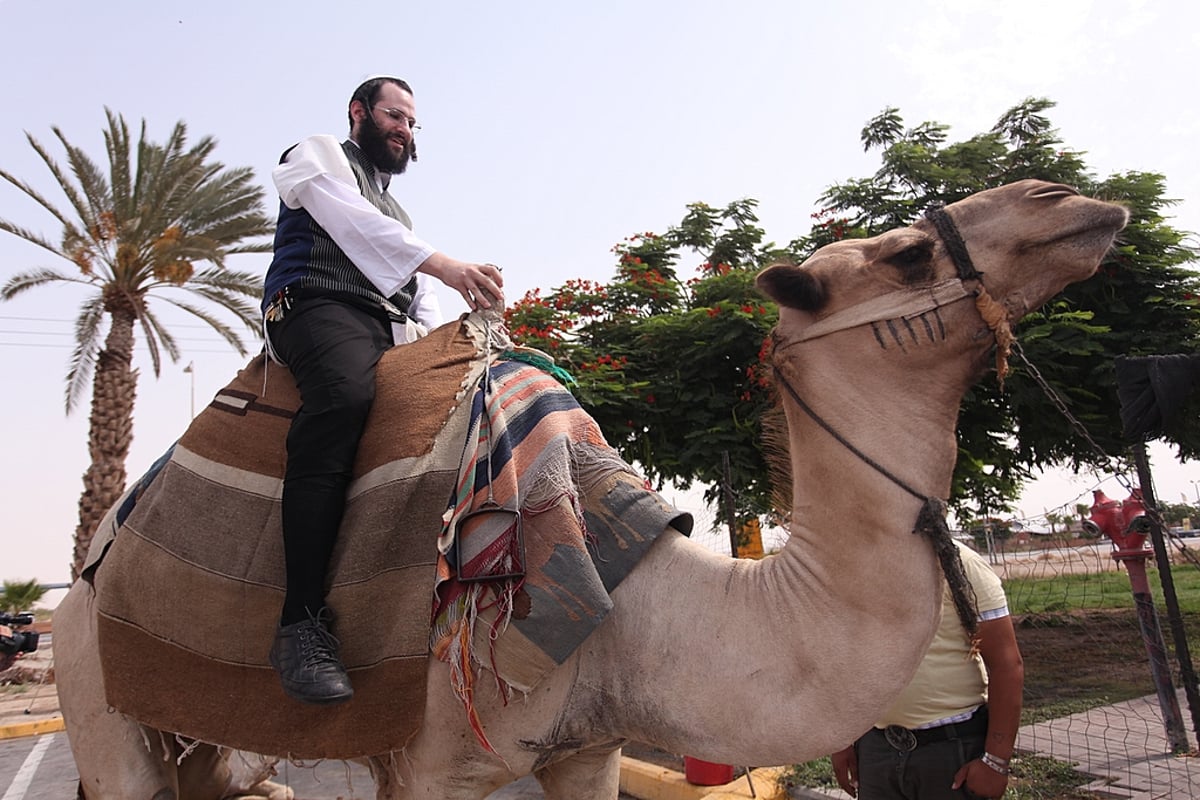 כיכר היום: בין הזמנים במצדה