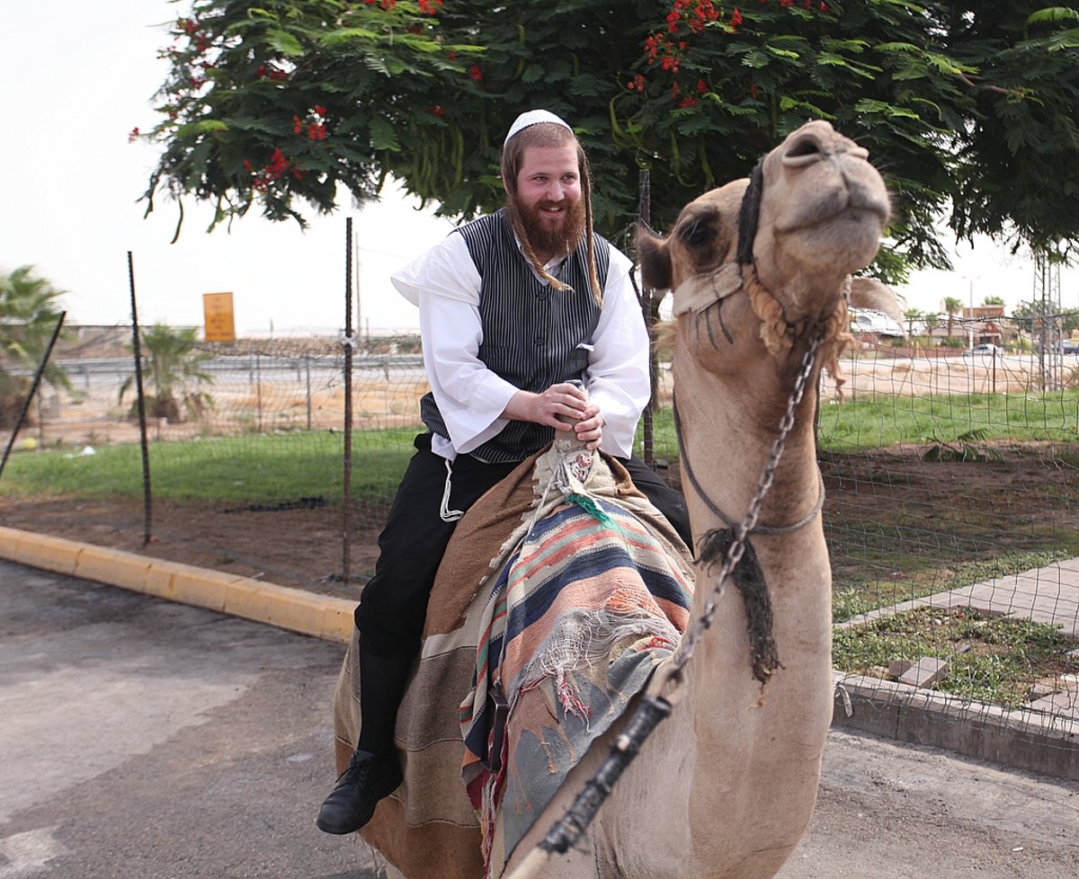 כיכר היום: בין הזמנים במצדה