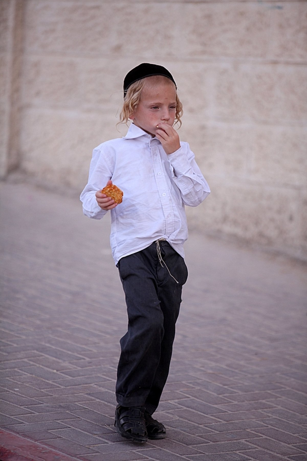 החסידים הנרגשים איחלו: "רב´ה, מזל-טוב, מזל-טוב"