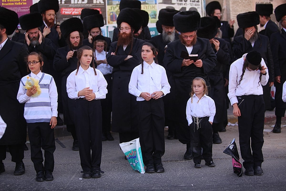 החסידים הנרגשים איחלו: "רב´ה, מזל-טוב, מזל-טוב"