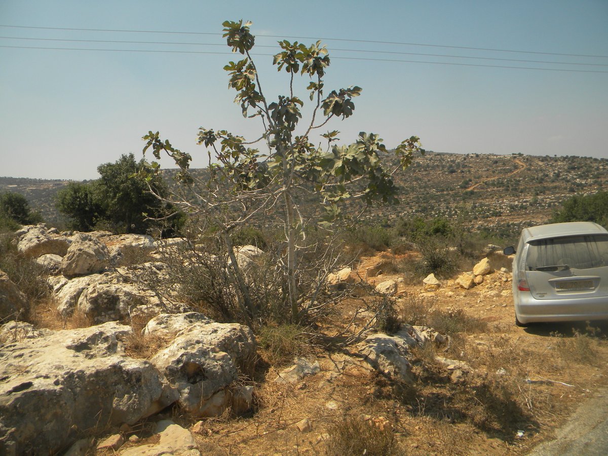 הקפאה? בשומרון בונים את היישובים שנחרבו, מחדש