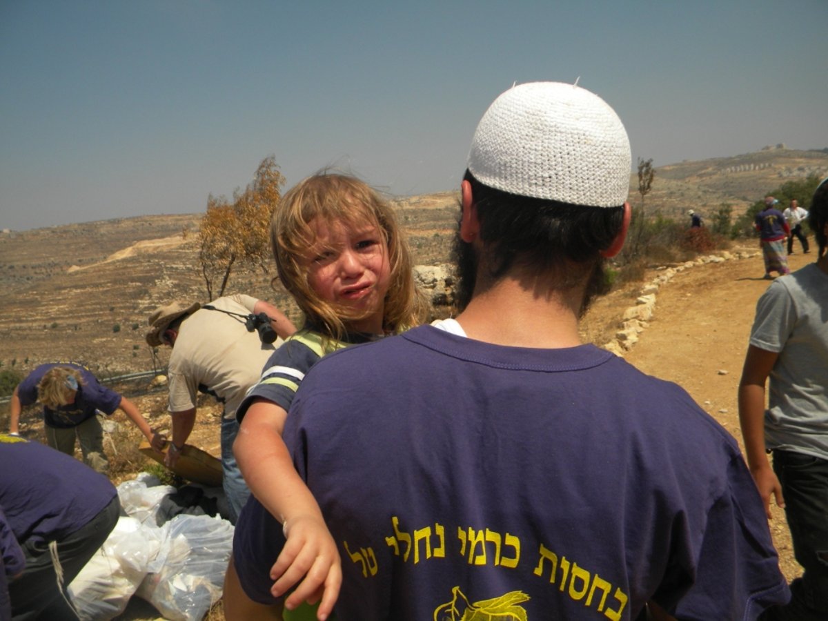 הקפאה? בשומרון בונים את היישובים שנחרבו, מחדש