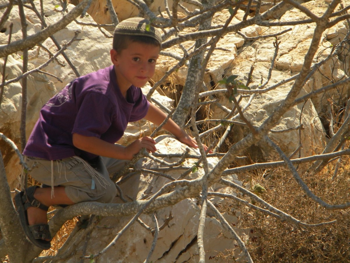 הקפאה? בשומרון בונים את היישובים שנחרבו, מחדש