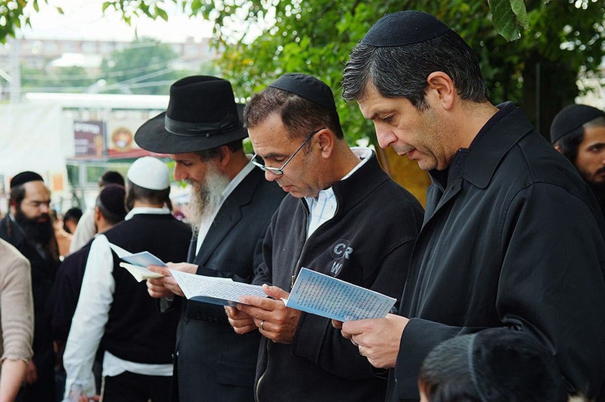 אומן, תש"ע: גם מרדכי בן דוד הגיע לרבי נחמן • צפו