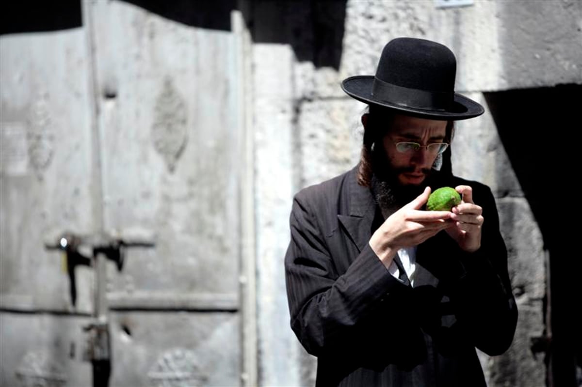 מאה שערים מתכוננת לסוכות