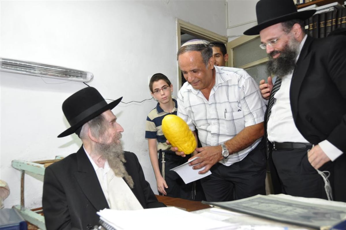 לעיניי הגראי"ל שטיינמן: אתרוג השוקל 7.5 ק"ג