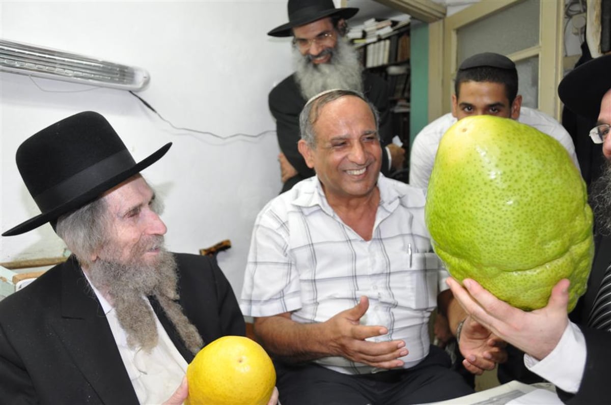 לעיניי הגראי"ל שטיינמן: אתרוג השוקל 7.5 ק"ג