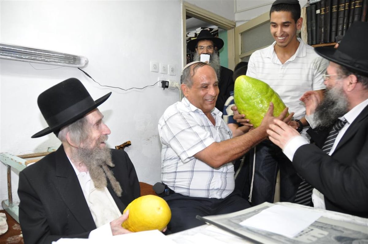 לעיניי הגראי"ל שטיינמן: אתרוג השוקל 7.5 ק"ג