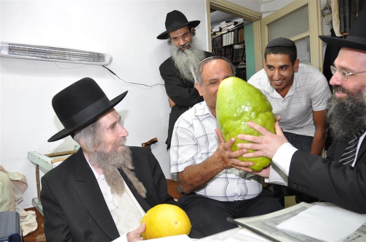 לעיניי הגראי"ל שטיינמן: אתרוג השוקל 7.5 ק"ג