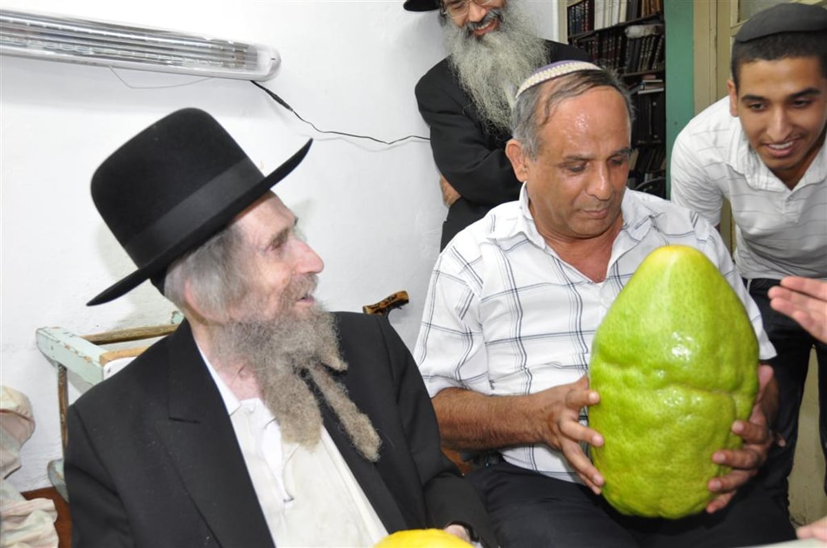 לעיניי הגראי"ל שטיינמן: אתרוג השוקל 7.5 ק"ג