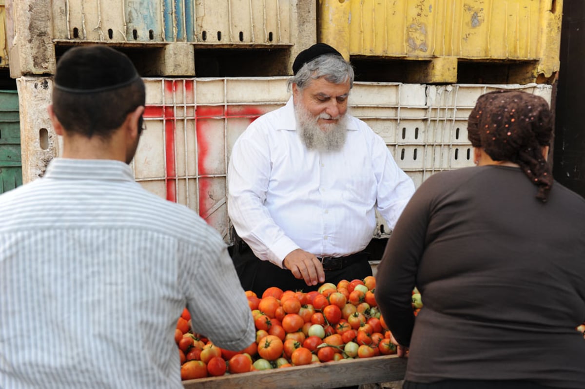 משבר? בבני-ברק חילקו 2 טון עגבניות