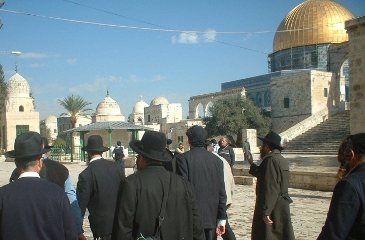 יוזמי ה"כולל" החרדי בהר הבית: המשטרה מתנכלת