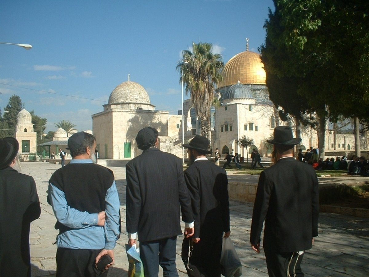 יוזמי ה"כולל" החרדי בהר הבית: המשטרה מתנכלת