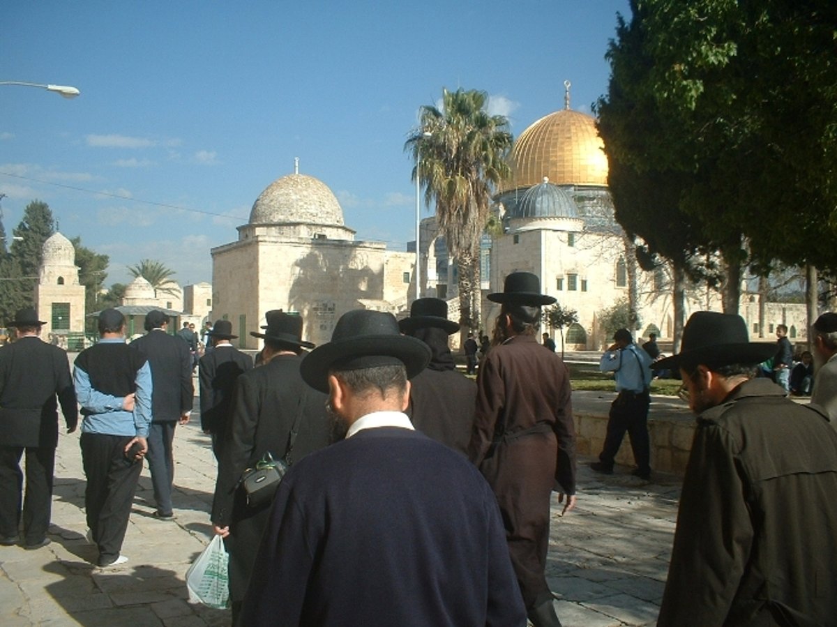 יוזמי ה"כולל" החרדי בהר הבית: המשטרה מתנכלת