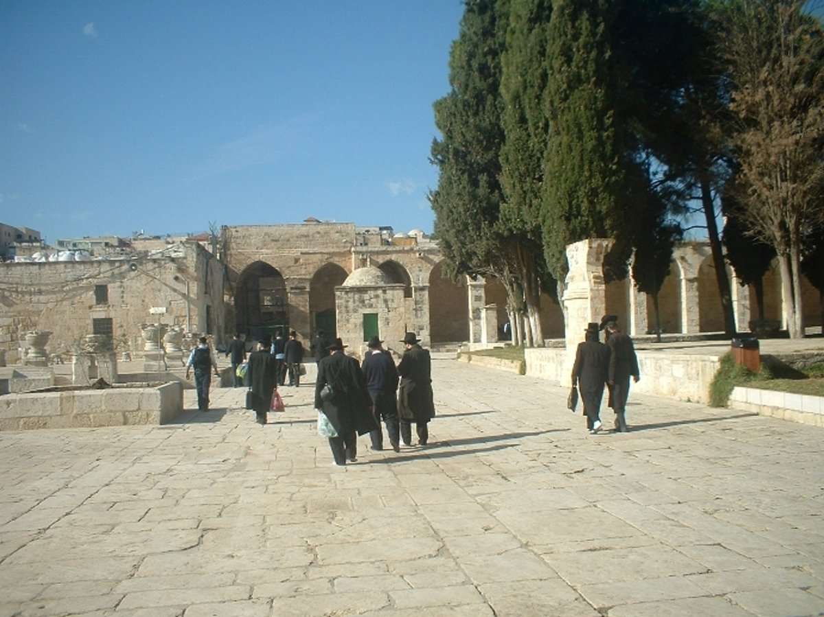 יוזמי ה"כולל" החרדי בהר הבית: המשטרה מתנכלת